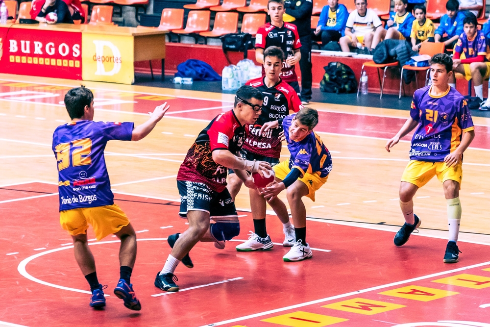 BALONMANO ALPESA